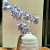 Classic ceramic vases in Uganda with artificial light blue flowers