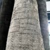 CALG-10 Sofa Fabric Material in Uganda